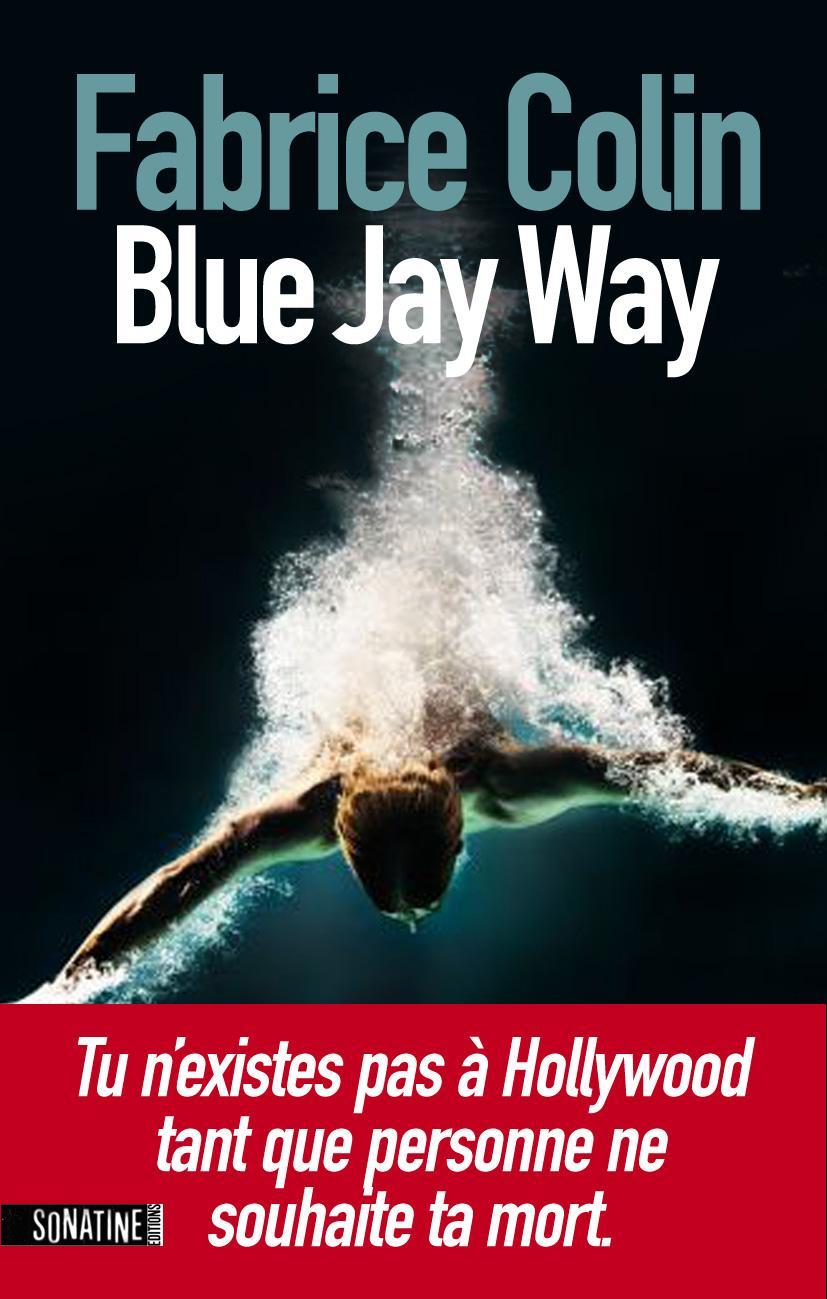 Fabrice Colin: Blue Jay Way (French language, 2011)